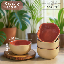 Rustic Terracotta Maroon Bowl