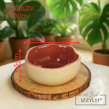 Rustic Terracotta Maroon Bowl